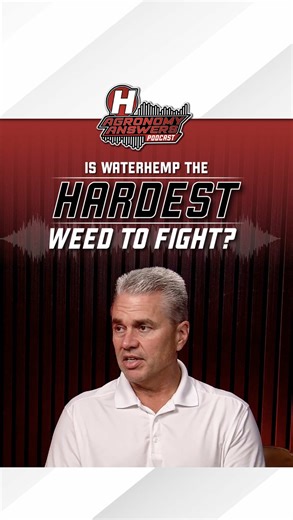 Kochia or waterhemp — which one’s worse in your fields?