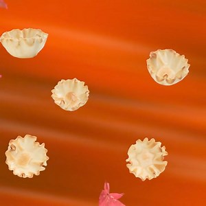 34 reactions · 4 comments | Leaves are falling and Athens Phyllo Shells are calling! ✨ Fall is Phyllo Season, and we’re ready to savor every crispy, flaky moment. #phyllo #athensfoods #fallseason #pumpkinspice #fallaesthetic #phylloshells #bites | Athens Foods | Facebook