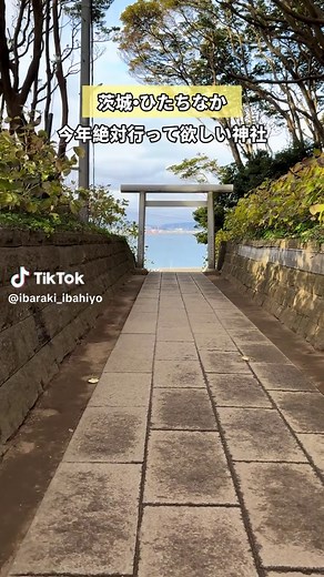 酒列磯前神社で特別な午年限定御守りを入手🌟