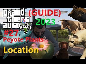 GTA 5: All 27 Peyote Plants Location (2023) Guide | Unlock the Secrets of Los Santos | 4K 60FPS