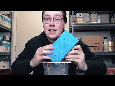 New York State Envirothon 2021 Soils – Erie County, NY