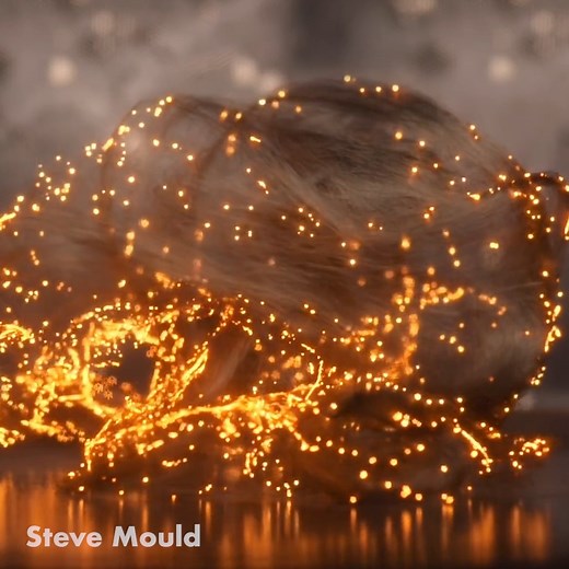 23K views · 367 reactions | Look at what happens when I put micron steel wool inside of a microwave, it’s pretty amazing | Steve Mould | Facebook