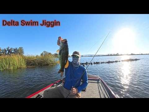 Bass Fishing The California Delta