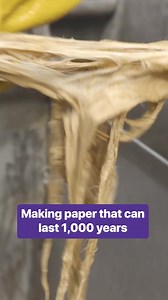 The process of making Hanji, a traditional and versatile material used within Korea, starts with gathering bark from a paper mulberry tree. #hanji #handmadepaper #korean | Business Insider Africa