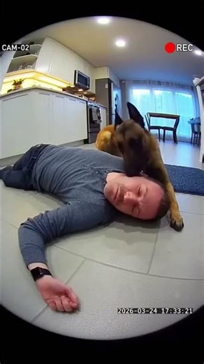 CCTV: Service Malinois Predicts Seizure & Calls for Help! 🐕📹🧃🆘🏥 | Hero Dog #shorts