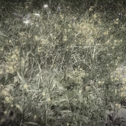 Step on Me: Creative Overlay Ideas