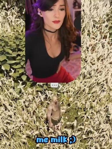 Exploring Larian Studio's Most Controversial Quest