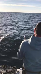6.8K views · 12 reactions | Blue Runner Sportfishing on Reels | Facebook