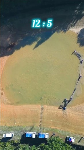 Catch EVERY Fish in ONE Epic Swoop! 🔥🐟 #shortsvideo