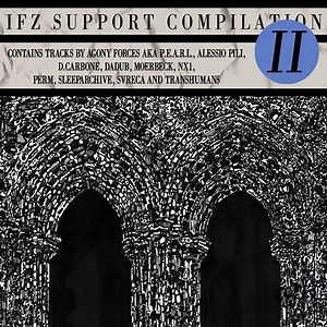 Various - Support Compilation 2