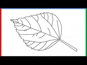 How to draw a Big Leaf step by step for beginners