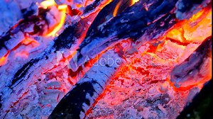 Burning hardwood in detail. Burning woods shiver in hot air and gentle flames fluorescing. White ash covers the burning pieces of wood.