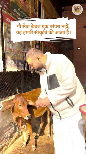 Sacred Power of Gau Seva | Inspiring Sanskrit Shlok on Cow Protection | Hindu Culture & Spirituality
