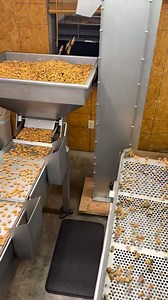 7.1K views · 112 reactions | 11-20-25 Here is a short video showing how we crack and shell our pecans. We will have shelled pecans available only a few more days. Hurry to get your before we are sold out for 2025!! Shelled $12/lb Available in 1 or 2 lb bags Open 9-5 Mon - Sat 275 Bratton Drive Hot Springs, Ar 501-262-2053 | Burgener's Pecans | Facebook