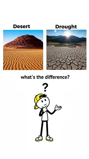 Epidemic vs Pandemic: What’s The Main Difference? ☣️🌍