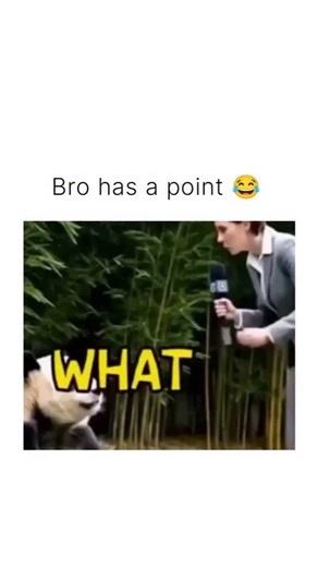 Streamer & Pop Culture | A woman asks a thoughtful question to a talking panda: "What’s the hardest part about being a panda?" The panda pauses, then responds with... | Instagram