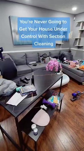 89K views · 162 reactions | Section Cleaning Is Life Changing. GAME Changing #sectioncleaning #JudgementFreeCleaning #bornunicorn #cleaningtips #cleaningmotivation #adhdcleaning #cleaningreels #mentalhealthmatters #cleanwithme #gamechanger | Born Unicorn | Facebook