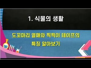 4학년 2학기 과학 : 도꼬마리와 찍찍이 테이프 특징 알아보기