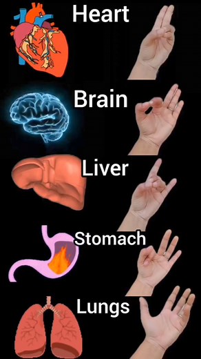 6.1M views · 60K reactions | Effective Mudra to heal yourself ✨️ #yoga #YogaHealing #yogainspiration #healthylifestyle #reels #trending | panchbhootyog | Facebook