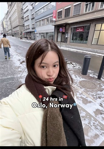 Exploring Oslo: A Unique Vlog Experience