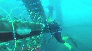 28K views · 500 reactions | WATCH! - Divers Working Maersk Oil Dan Platform | Offshore Post | Facebook