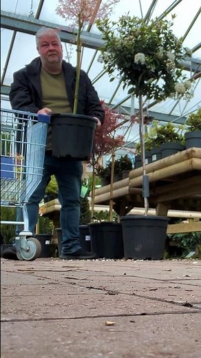 Finding A Gem In The Garden Centre