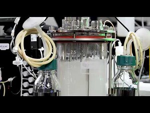 Working Together - Seg-Flow and Cedex Bio HT