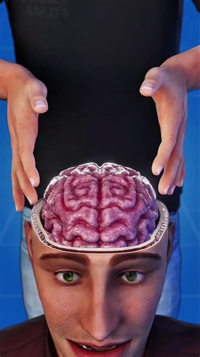 What Happens If You Hold a Human Brain? 🤯🧠