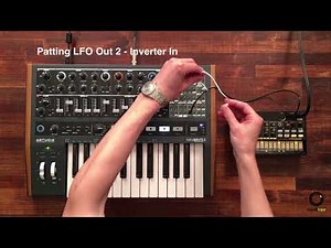 Arturia Minibrute 2 | Making Stab Sound