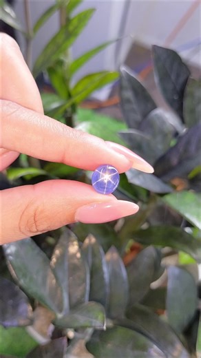 This 6.12 Ct. untreated star sapphire displays a natural six-rayed star, a rare optical effect called asterism caused by tiny inclusions inside the gem. Item ID- S34148 #starsapphire #BlueSapphire #pinksapphire #yellowsapphire #purplesapphire #greensapphire #whitesapphire #NaturalSapphire #love #lovegift #proposal #jewlery #weddingring #yellowgold #whitegold #celebrate
