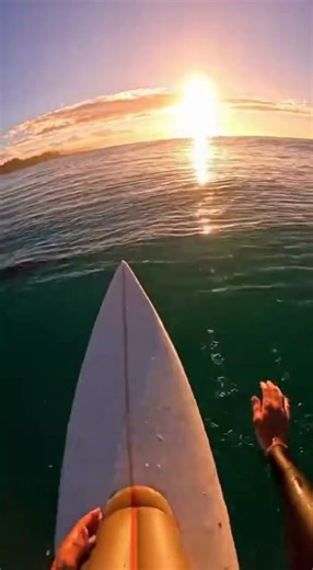 GoPro Surfing: Dolphin Photo Bomb