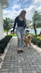 These were all training scenarios but I am always so thankful i have this boy by my side every day… #dogsoftiktok #dogsoftiktokviral #servicedog #dogs #goldenretriever | The Moriarty Family