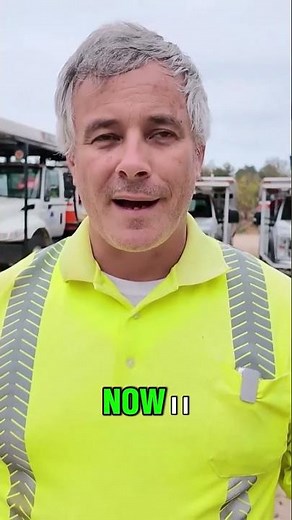 Tree Removal Estimates Quick Pricing Strategy Explained