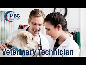 IMBC Program Overview: Veterinary Technician A.S.T. Degree