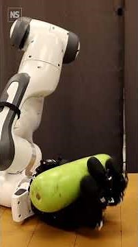2024 review: The best new robots of the year 🤖