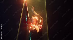 Beautiful woman dancing under colorful illumination, laser light, neon party night club. Performance, projection mapping. Interactive exposition installation.