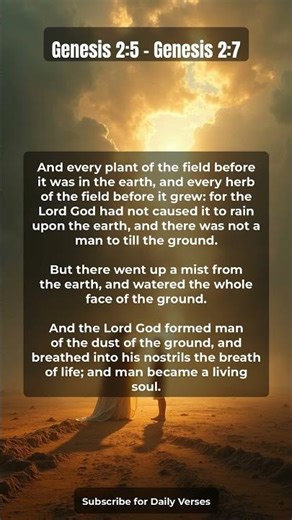 📖 Today's Verses: Genesis 2:5 – Genesis 2:7