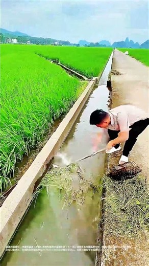【匠の技】農業水路の圧倒的清掃 #worker #process #水路清掃 #shorts