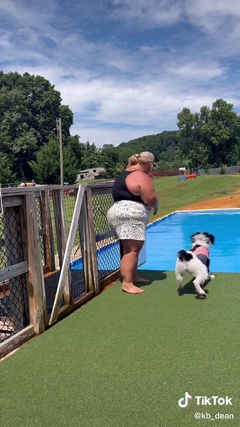 Dock Diving: Train Your Dog's Ramp Manners