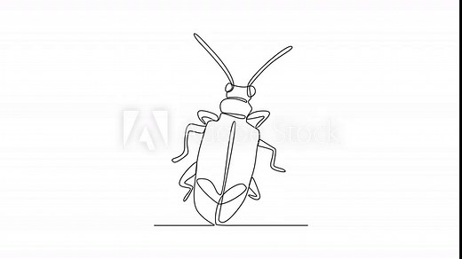One continuous line drawing of insect video illustration. Animal insect themes design concept in simple linear style. Sensory organs used for touch, smell, and sometimes taste. good for education.