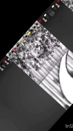 •“From blank page to magical forest path🌳🌳…watch till the end!” #digitalart#drawing #viral #art .