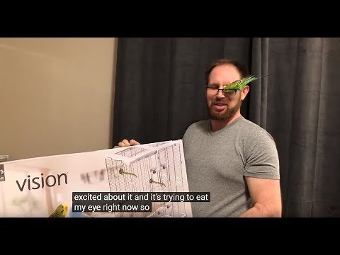 New Birdcage Day! Assembling the Vision M02 Birdcage + Cute Bird Footage