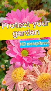 63K views · 649 reactions | Garden must have‍ #diygarden #gardening101 #seeds #plantingseason | RoseGo | Facebook