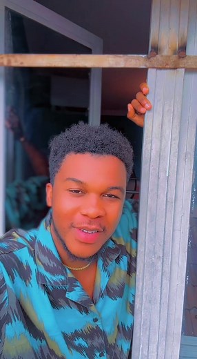 Understanding Indoor Environments with Metal Window Bars