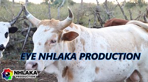 24K views · 2.2K reactions | INHLAKA PRODUCTION ISIPHIWE INKOMO NGOKUSEBENZA KWAYO NGOKUZIMISELA U MFOKA CELA UNDOSI UBONE KUFANELEKILE UKUBA INHLAKA PRODUCTION AYIKOMELISE NGENKOMO WASETHI 'NGOKUHLE ENIKWENZELA ABANTU NOKUZIMISELA KWENU KULENKAMPANI NGINIJABULISA NGANASI ISIPHO' | Nhlaka productioN | Facebook