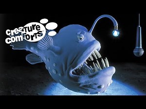 The Sea - Creature Comforts - Pt.1