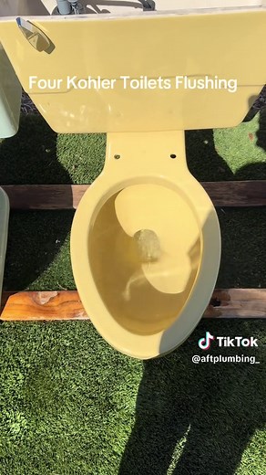 Kohler Toilet Flushing Comparison: 4 Models Tested