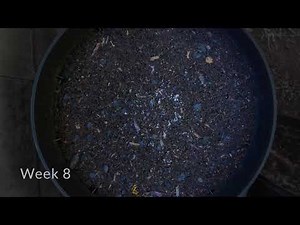 PA Packaging Solutions Compostable Time lapse