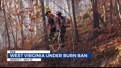 West Virginia spring fire season begins; burn restrictions in place