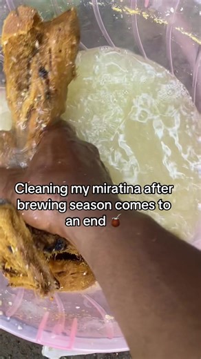 Cleaning My Muratina After Brewing Season